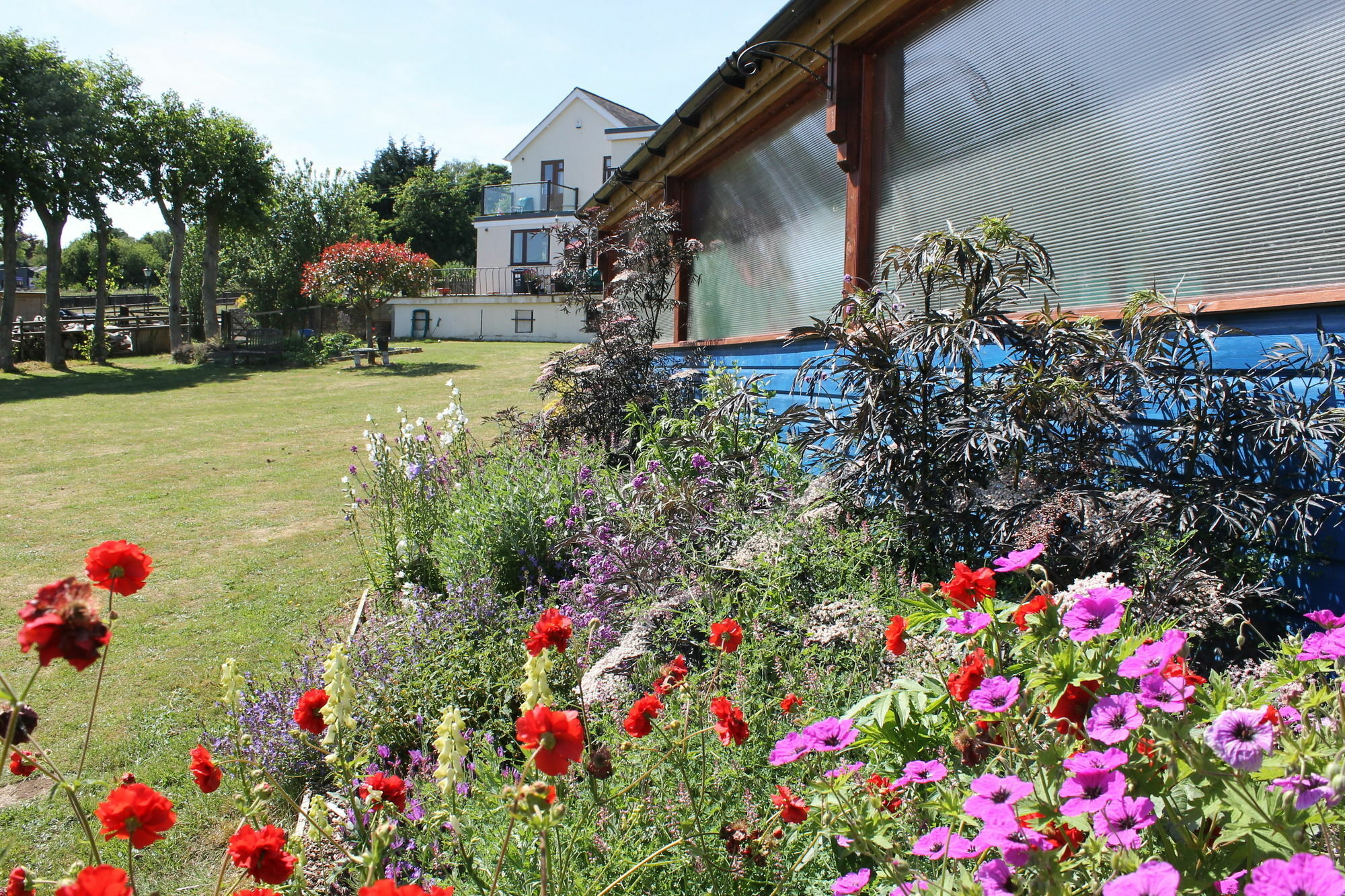 Homelea Bed And Breakfast Canterbury Buitenkant foto